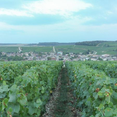 Une Parenthese En Champagne Bed & Breakfast Jaucourt Eksteriør bilde