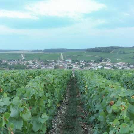 Une Parenthese En Champagne Jaucourt Eksteriør bilde
