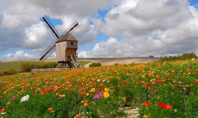 Une Parenthese En Champagne Bed & Breakfast Jaucourt Eksteriør bilde