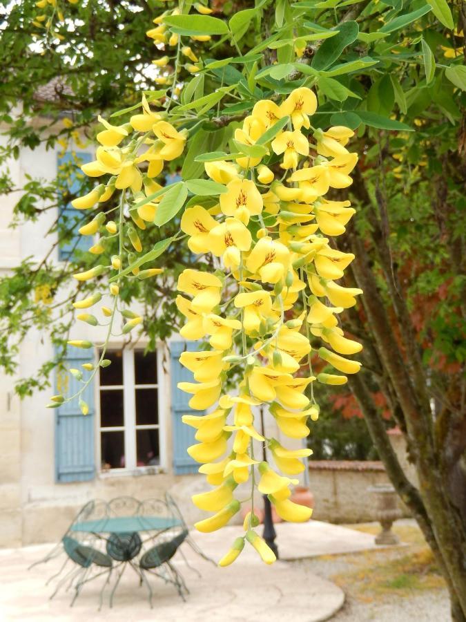 Une Parenthese En Champagne Bed & Breakfast Jaucourt Eksteriør bilde