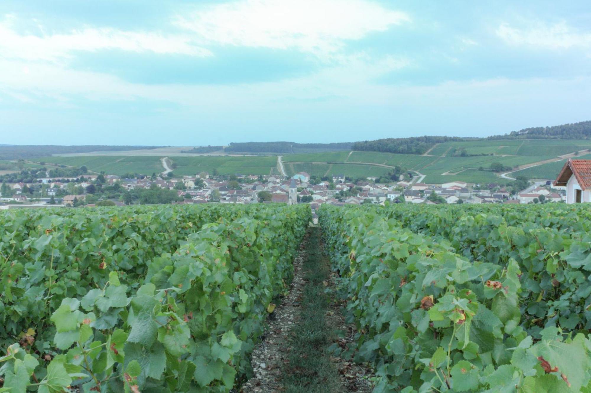 Une Parenthese En Champagne Bed & Breakfast Jaucourt Eksteriør bilde